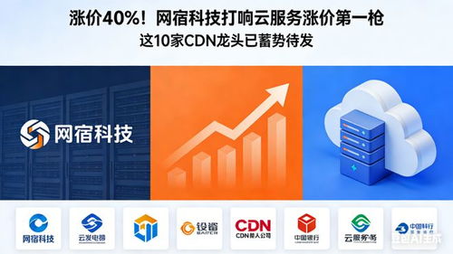漲價40% 網宿科技打響云服務漲價第一槍，10家CDN龍頭蓄勢待發